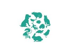 2020第二届华东宠物用品展览会 暨全球宠物用品电商采购大会