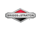 Briggs & Stratton