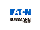 BUSSMAMN
