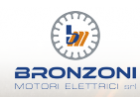 BRONZONI