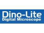 Dinolite