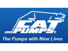 cat pumps