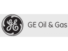 GE INSPECTION