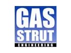 Gas Strut