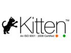 Kitten