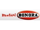 motoribonora