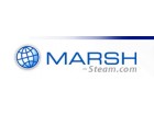 Marsh Steam