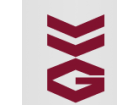 VVG