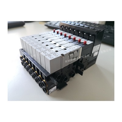 8阀阀组6524型电磁阀 burkert 德国宝德