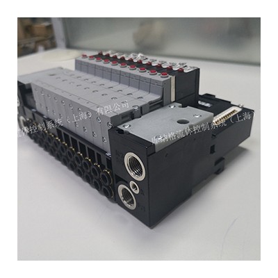 10阀阀岛阀组 00186260电磁阀 德国 burkert