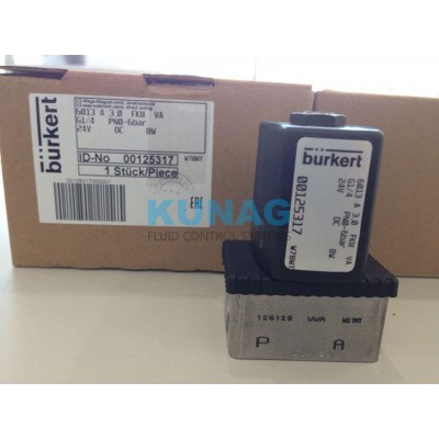 125317 burkert 6013常闭型电磁阀-DN3